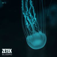 Zetek - Bluebird