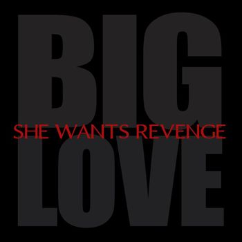 She Wants Revenge - Big Love