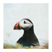 Smith The Mister - Puffin