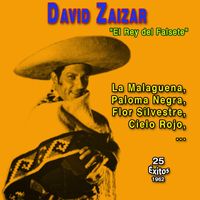 David Zaizar - "El Rey del Falsete" David Zaizar (25 Exitos - 1962)
