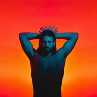 Vieri Cervelli Montel - cervo