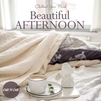 Chill N Chill - Beautiful Afternoon: Chillout Your Mind