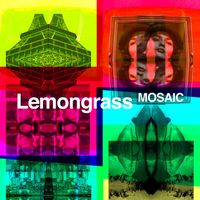 Lemongrass - Mosaic