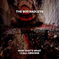 The Boo Radleys - Now That's What I Call Obscene