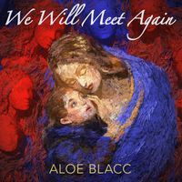 Aloe Blacc - We Will Meet Again