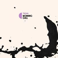 Ticha - morning gull