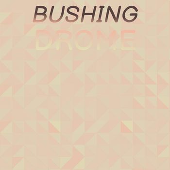 Various Artists - Bushing Drome