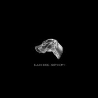 NOTNORTH - Black Dog