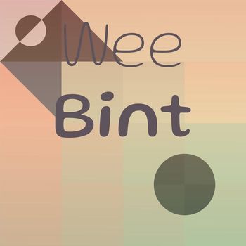 Various Artists - Wee Bint