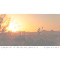 Gavin Mikhail - Something In The Orange (Acoustic)