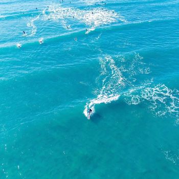 Surf Friends - Woohoo