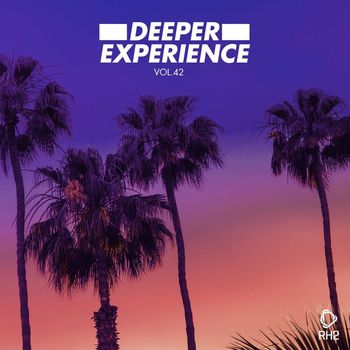 Various Artists - Deeper Experience, Vol. 42