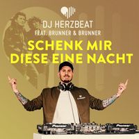 DJ Herzbeat - Schenk' mir diese eine Nacht