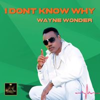 Wayne Wonder - I Dont Know Why