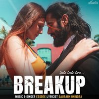 Essdee - Breakup - Toote Toote Tare