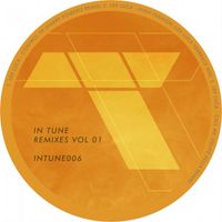 Lex Luca - In Tune Remixes, Vol. 01