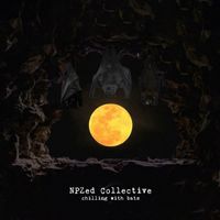 NPZed Collective - Chilling with Bats