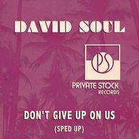 David Soul - Don't Give Up On Us (Sped Up)