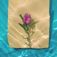 Gelka, Natalie Holmes - Suncream