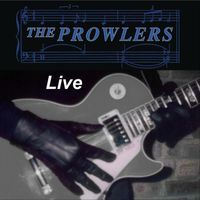 The Prowlers - Take Me to the River (Live)