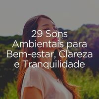 Vários intérpretes - 29 Sons Ambientais para Bem-estar, Clareza e Tranquilidade