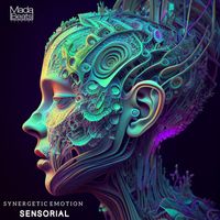 Synergetic Emotion - Sensorial