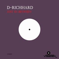 D-Richhard - Just in Between