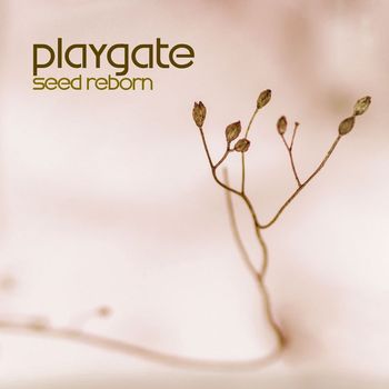 Playgate - Seed Reborn