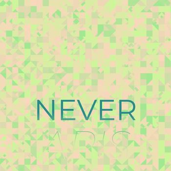 Various Artists - Never Apis