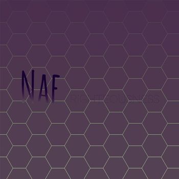Various Artists - Naf Righteousness