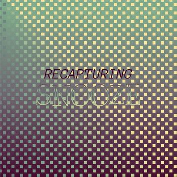 Various Artists - Recapturing Snooze