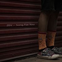 Zev - Song For You