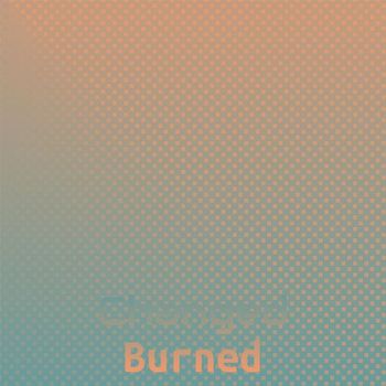 Various Artists - Changed Burned