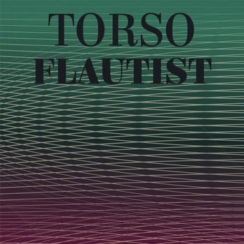 Various Artists - Torso Flautist