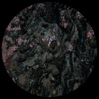 Tarantula Nebula - Infinite Lights Part 1