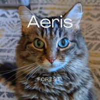 Forest - Aeris