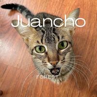 Forest - Juancho