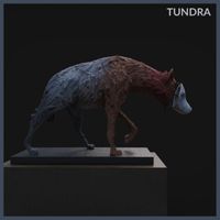 Tundra - Say You Love Me
