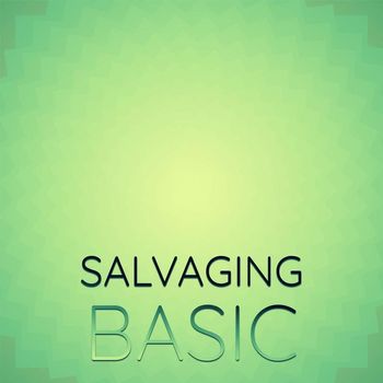 Various Artists - Salvaging Basic