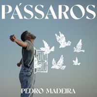 Pedro Madeira - Pássaros