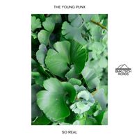 The Young Punx - So Real