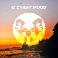 YNOT - Midnight Mood