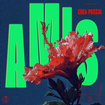 Enea Pascal - Amis
