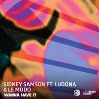 Sidney Samson - Wanna Have It