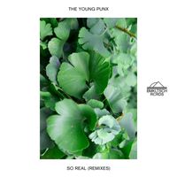 The Young Punx - So Real (Remixes)