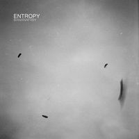 bananafish - Entropy