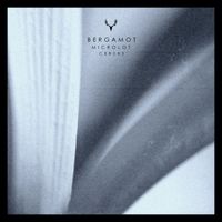 Microlot - Bergamot