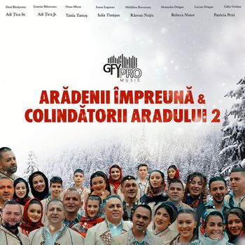 Various Artists - Arădenii Împreună Și Colindătorii Aradului 2
