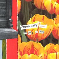 Thank You, I'm Sorry - Chronically Online