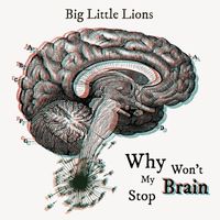 Big Little Lions - Why Won't My Brain Stop